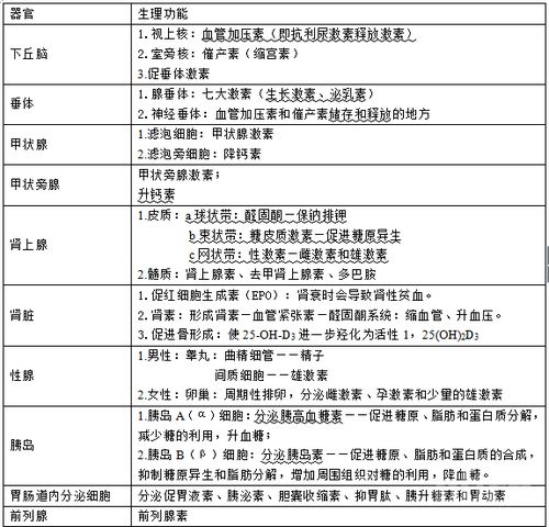 醫(yī)學(xué)生基礎(chǔ)知識(shí)的重要性,醫(yī)學(xué)生基礎(chǔ)知識(shí)大全,醫(yī)學(xué)生必須知道的基礎(chǔ)知識(shí)