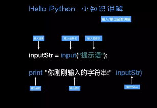 pythod基礎知識
