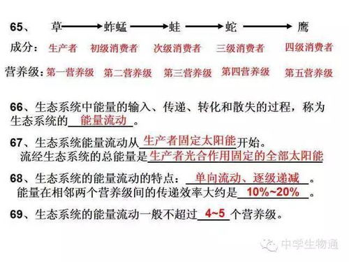 高中生物必修基礎知識檢查清單6