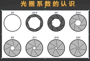 光圈的基礎知識