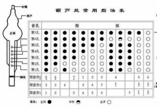 葫蘆絲初學(xué)基礎知識