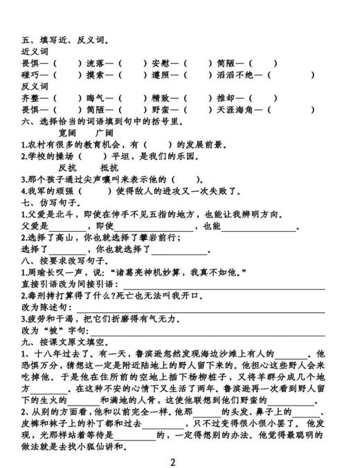 卷子,下冊,六級,基礎知識