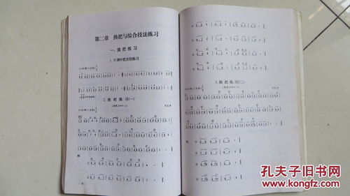 二胡的入門(mén)基礎知識