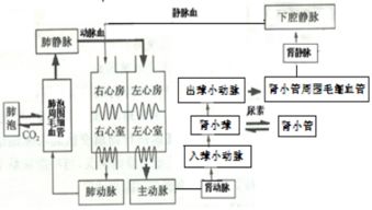 如何牢固基礎知識