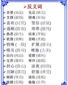 小學(xué)語(yǔ)文基礎(chǔ)知識(shí)反義詞