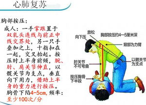 院前急救基礎知識