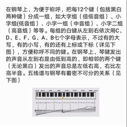鋼琴基礎(chǔ)知識(shí)介紹