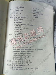 英語(yǔ),基礎知識,七級,答案