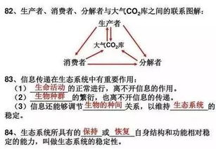 體育課教訓目的要求教材重難點(diǎn)基礎知識訓練