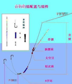 釣魚(yú)什么是基礎知識