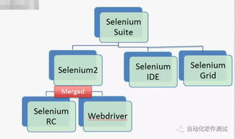 公文寫(xiě)作基礎知識課后測試,配送基礎知識課后測試,外匯基礎知識課后測試