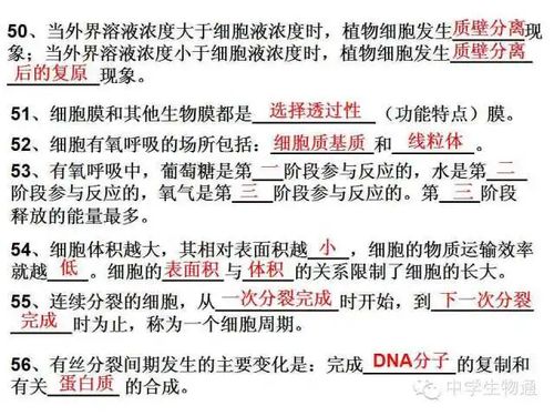 基礎知識,制程,試題,檢驗