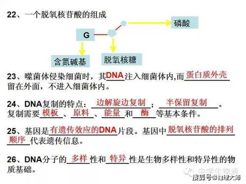 辯證法基礎知識百度文庫