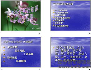 文言文語(yǔ)法基礎知識ppt
