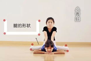舞蹈技巧基礎知識