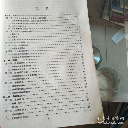 知識點(diǎn),人體,基礎(chǔ)