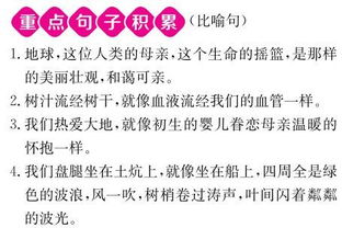 人教版,基礎知識,語(yǔ)文,競賽題