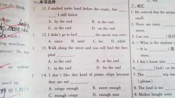 初2英語(yǔ)基礎知識點(diǎn)