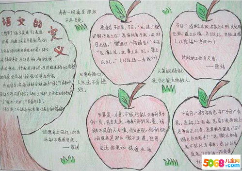八上語(yǔ)文所有基礎知識手抄報