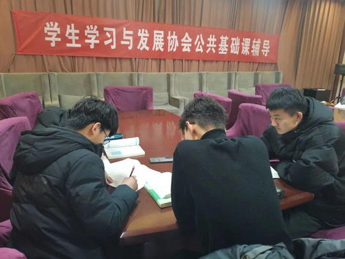輔導員,基礎知識,大學(xué)