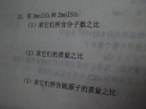 化學(xué)高一摩爾質(zhì)量基礎知識考察