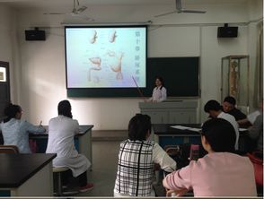解剖與胚學(xué)基礎知識