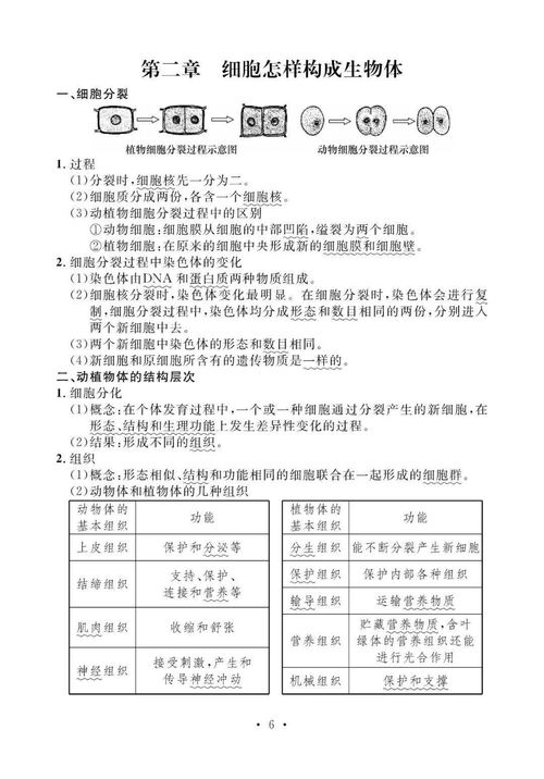 生物基礎知識點(diǎn)初中