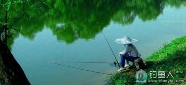 釣魚(yú)的基礎知識,釣魚(yú)新手入門(mén)基礎知識,釣魚(yú)基礎知識實(shí)用大全