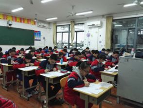 全國中學(xué)生基礎知識大賽