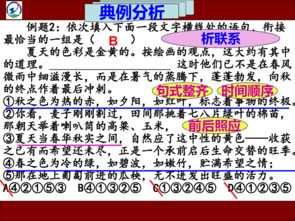 銜接,語句,基礎(chǔ)知識(shí),排序