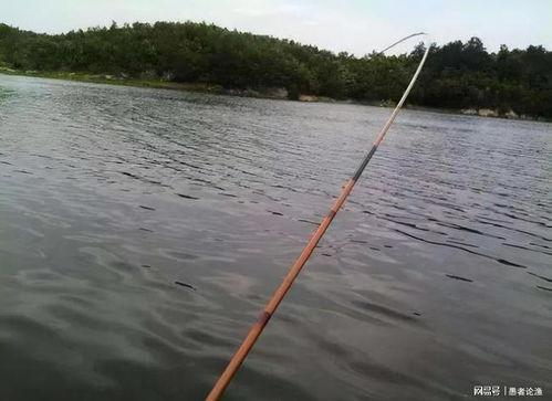 釣魚(yú),基礎知識