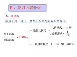 基礎知識,比例