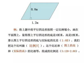 人體比例基礎知識,繪畫(huà)比例結構基礎知識,第六單元基礎知識