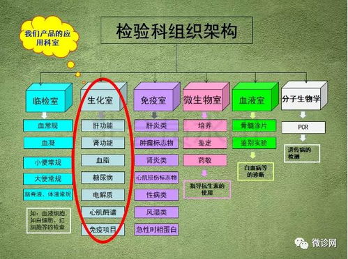 檢驗(yàn)科基本基礎(chǔ)知識(shí)