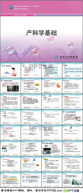 妊娠基礎知識PPT