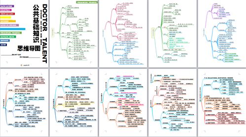 公共基礎(chǔ)知識思維導(dǎo)圖助考之師