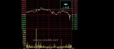 炒股怎么炒基礎(chǔ)知識(shí),炒股基礎(chǔ)知識(shí)入門(mén),炒股界面基礎(chǔ)知識(shí)