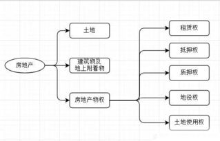四個(gè)基礎內容是指基本知識