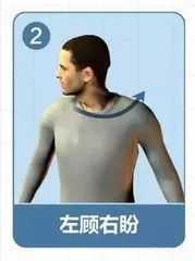 駕駛員,基礎知識,車(chē)輛,職業(yè)