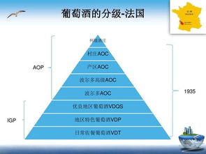 看是基礎知識