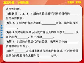 關(guān)于專(zhuān)題性總結的基礎知識