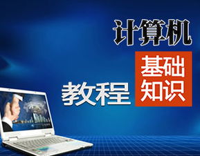 電腦辦公基礎知識都有什么