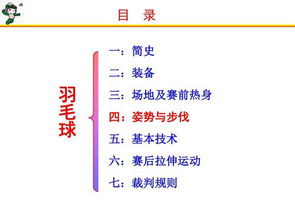 羽毛球基礎知識感想