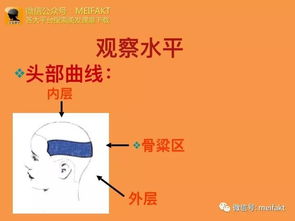 剪發(fā)原理基礎知識