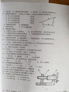 知識點(diǎn),選擇題,基礎,試算機