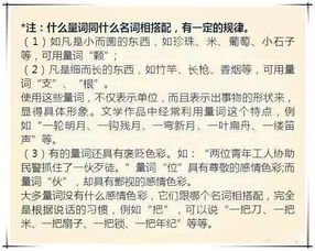 人教版小升初語(yǔ)文基礎知識匯總