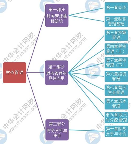 會(huì)計(jì)財(cái)務(wù)管理的基礎(chǔ)知識(shí)