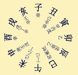 八字入門(mén)基礎知識PPT