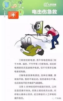 急救知識體會(huì ),軍訓急救知識心得,急救知識的培訓心得