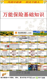 找保險基礎知識ppt
